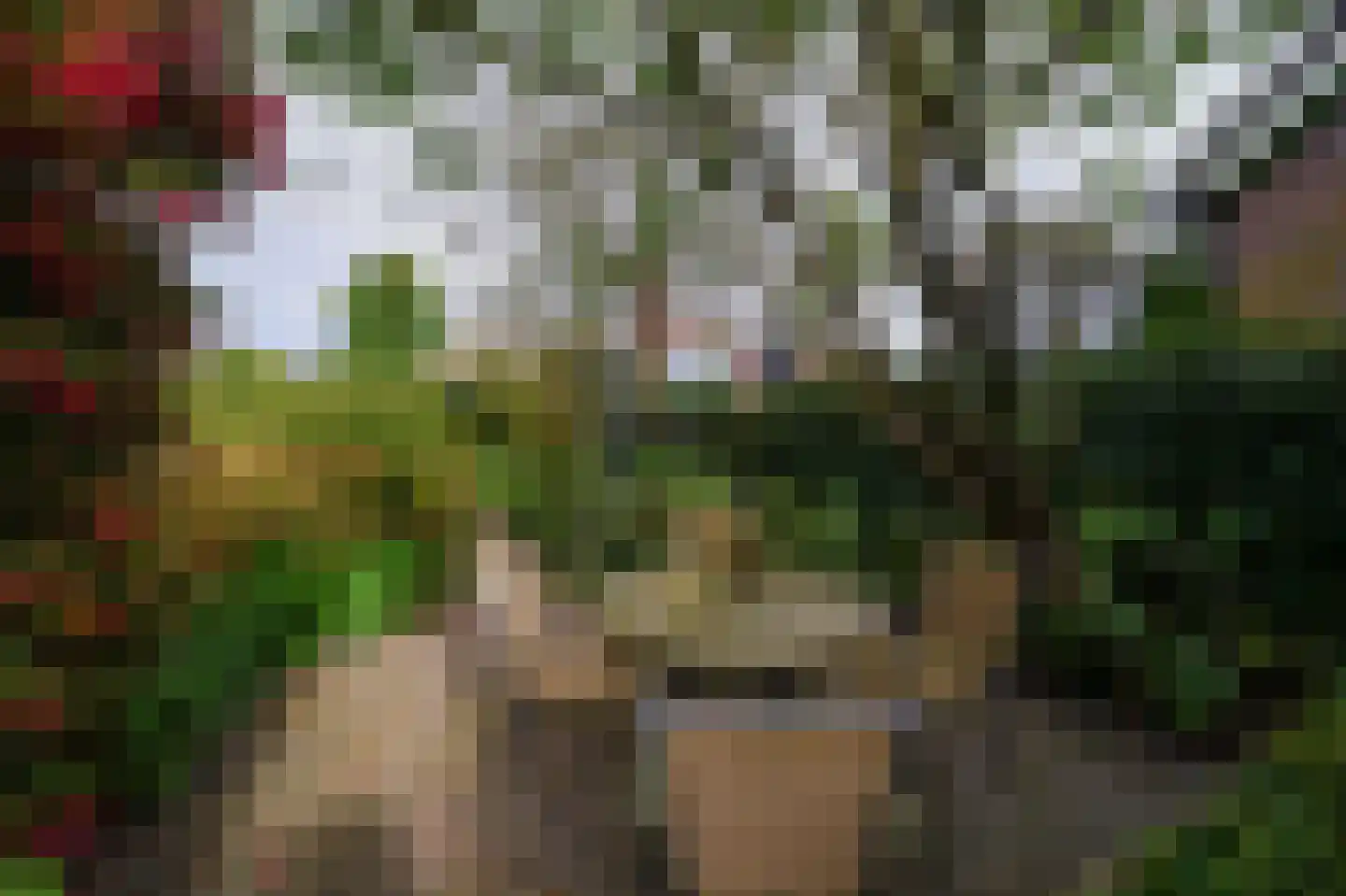 Westerblokker 14 Oosterblokker thumbnail 55