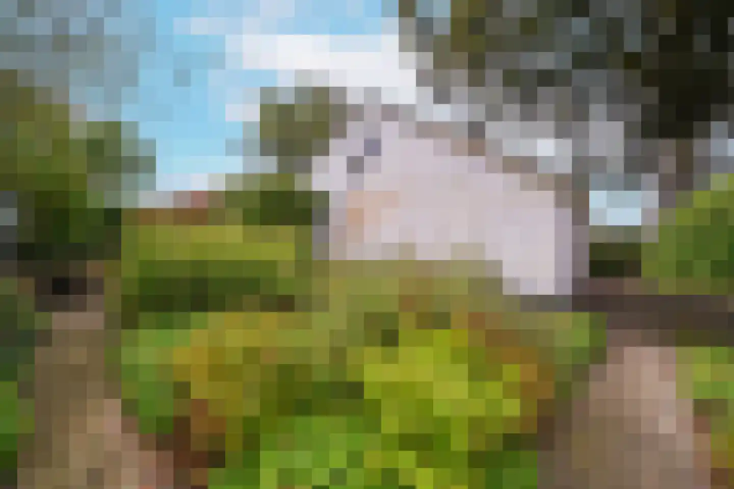 Westerblokker 14 Oosterblokker thumbnail 60