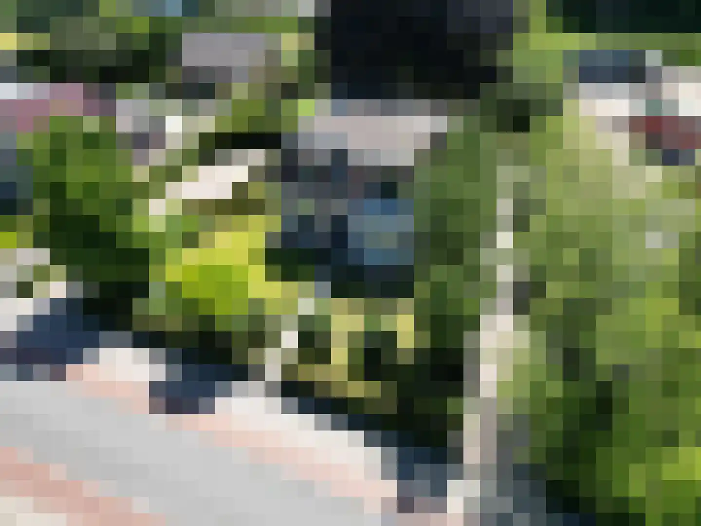 Westerblokker 14 Oosterblokker thumbnail 67