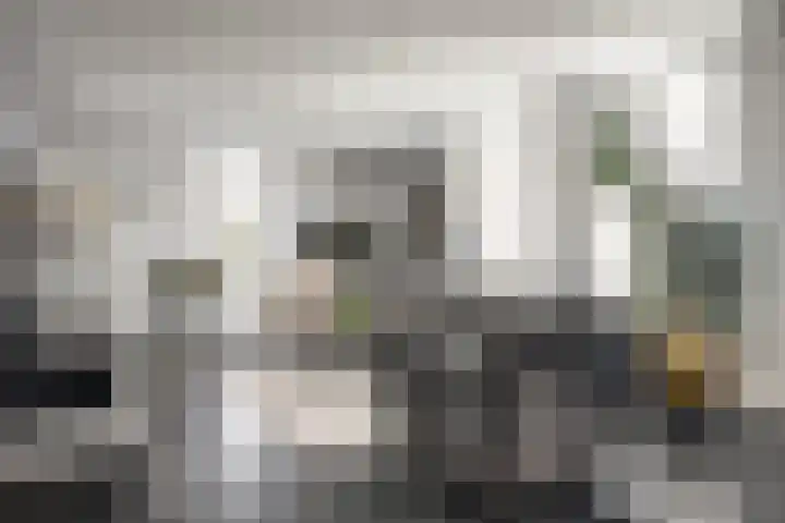 Westerblokker 15 Blokker thumbnail 10