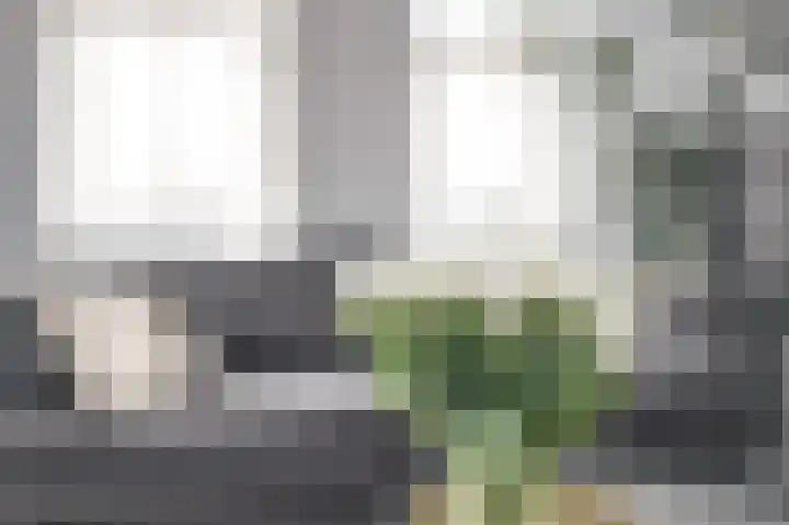 Westerblokker 15 Blokker thumbnail 11
