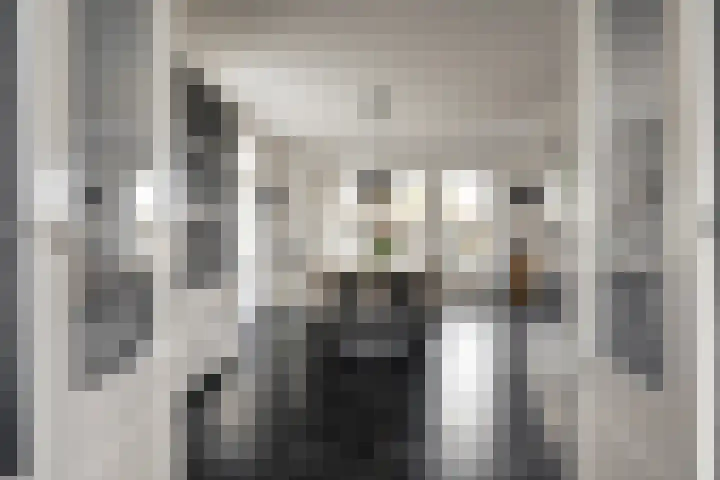 Westerblokker 15 Blokker thumbnail 12