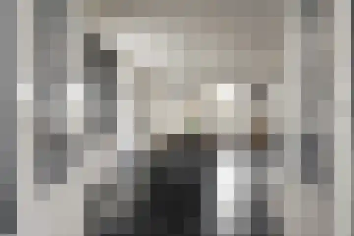 Westerblokker 15 Blokker thumbnail 12