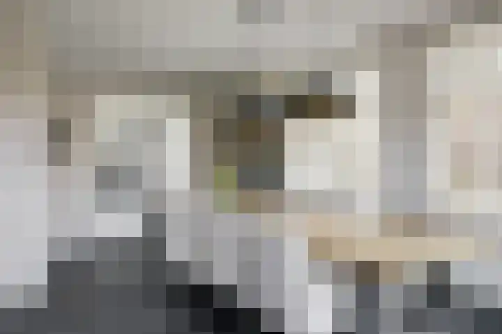 Westerblokker 15 Blokker thumbnail 13