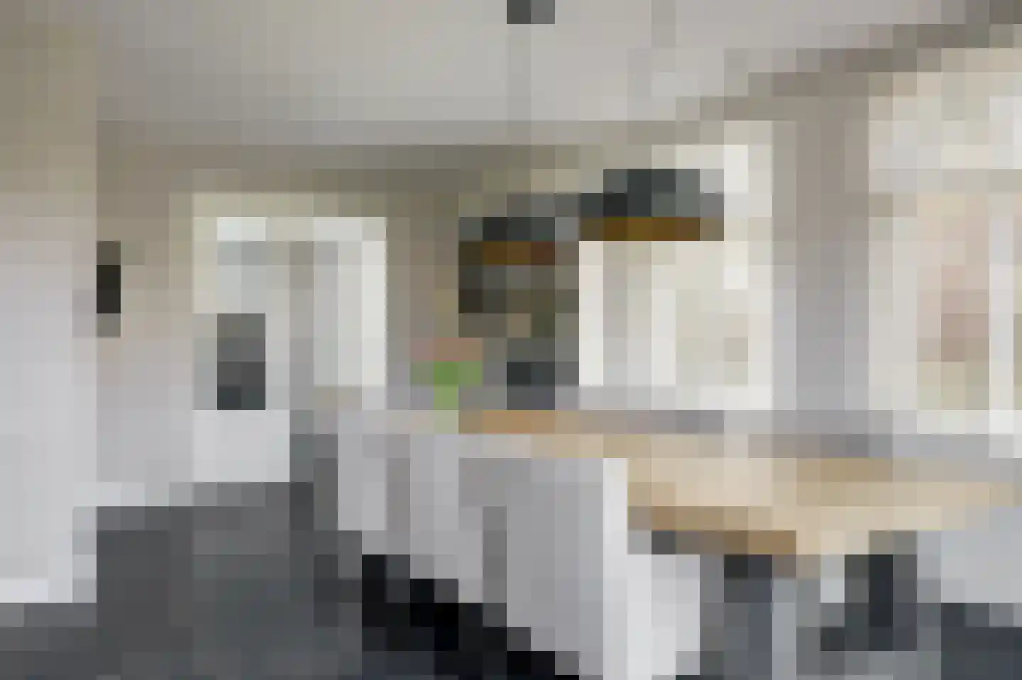 Westerblokker 15 Blokker thumbnail 13