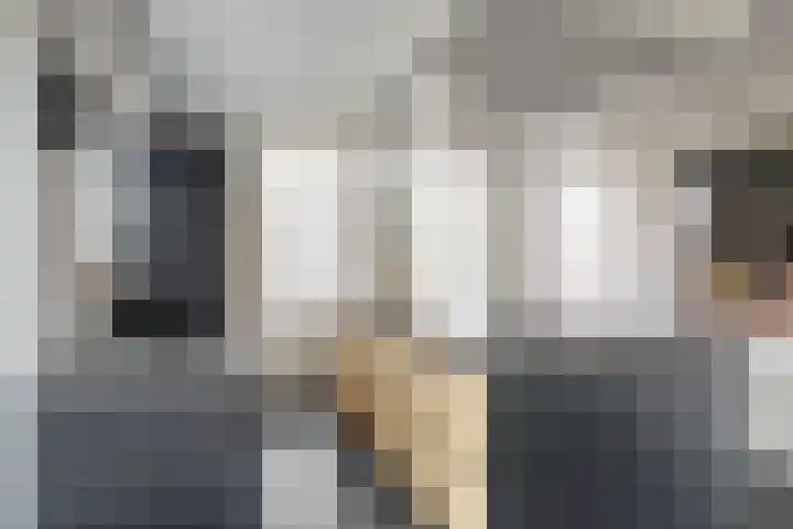 Westerblokker 15 Blokker thumbnail 14