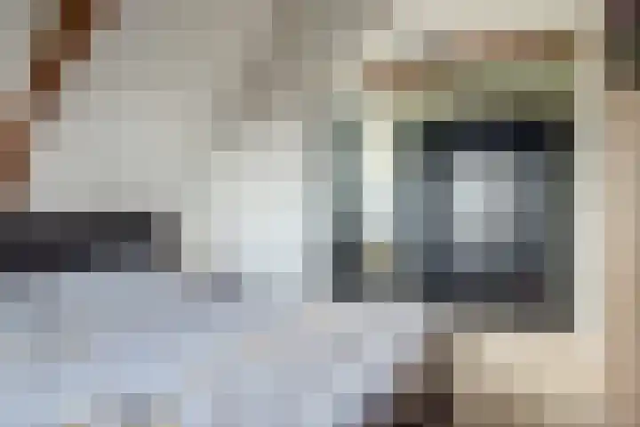 Westerblokker 15 Blokker thumbnail 18