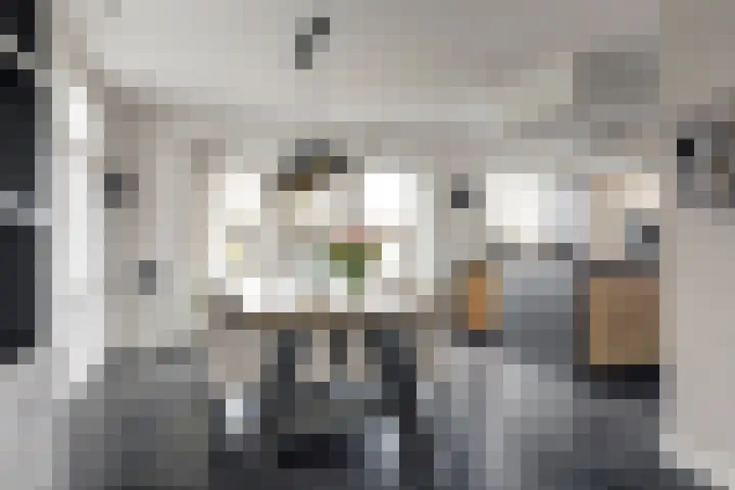 Westerblokker 15 Blokker foto 2