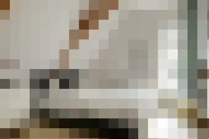 Westerblokker 15 Blokker thumbnail 21