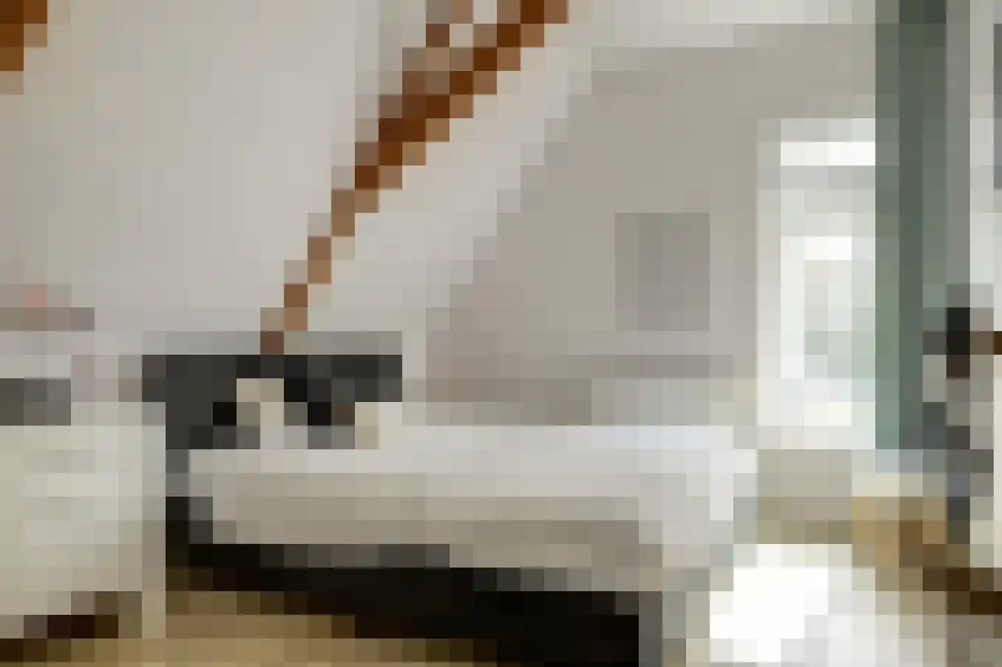 Westerblokker 15 Blokker thumbnail 21