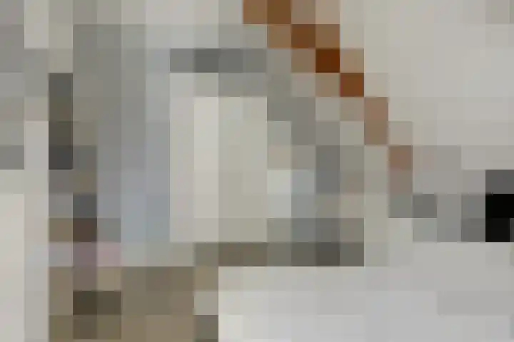 Westerblokker 15 Blokker thumbnail 22