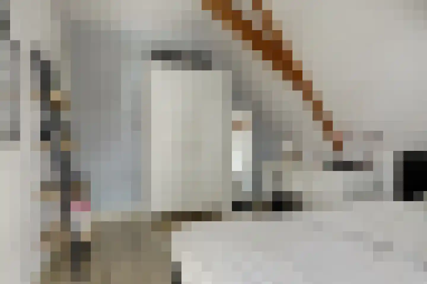 Westerblokker 15 Blokker thumbnail 22