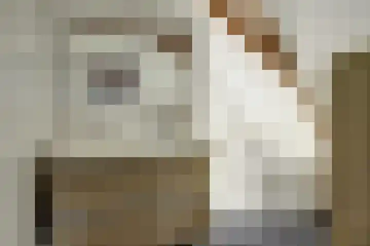Westerblokker 15 Blokker thumbnail 27