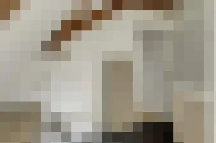 Westerblokker 15 Blokker thumbnail 28