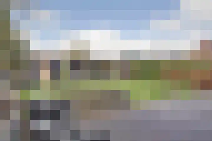 Westerblokker 15 Blokker foto 3