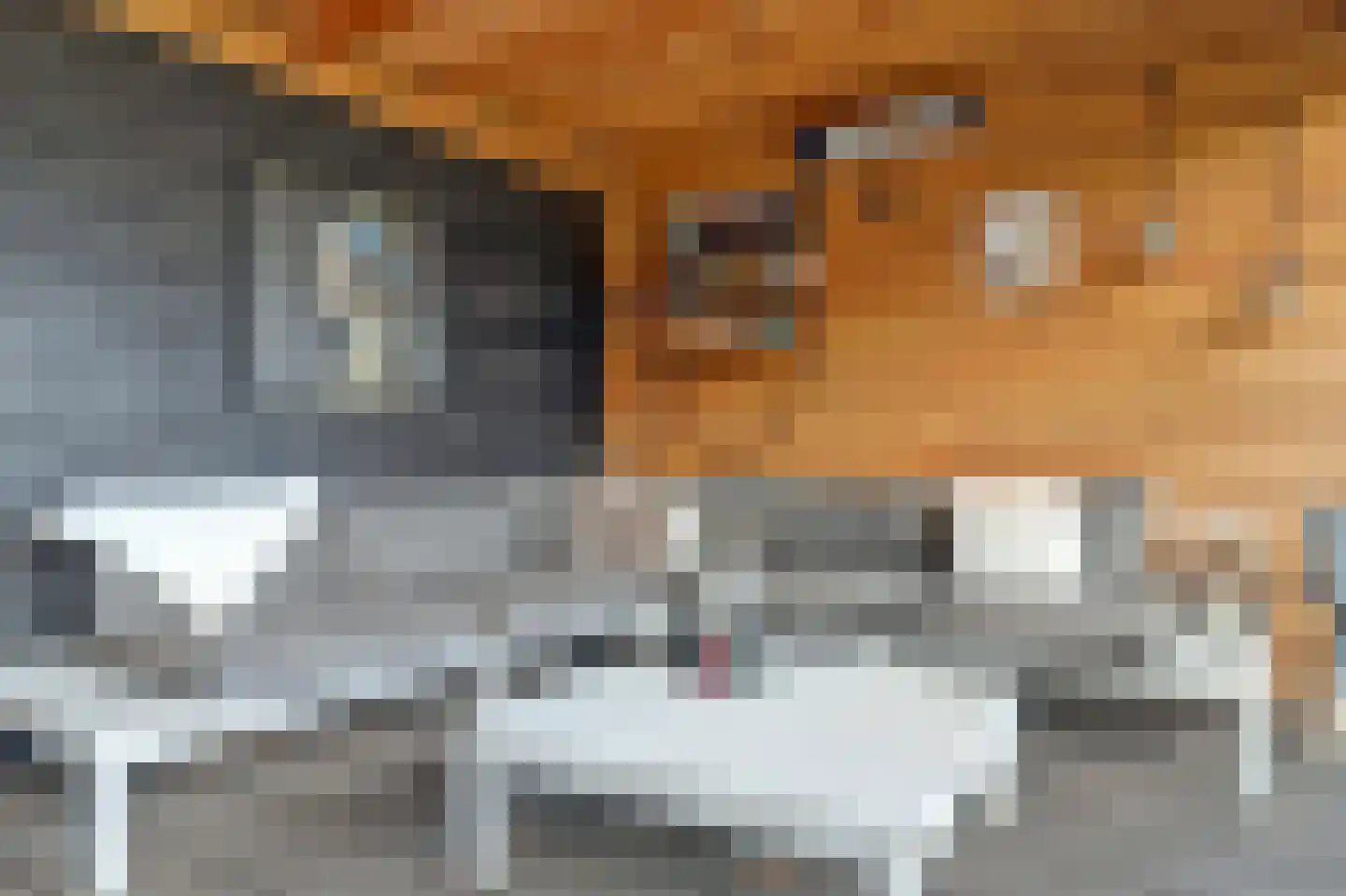 Westerblokker 15 Blokker thumbnail 31