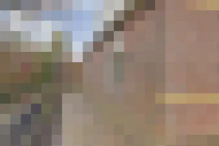 Westerblokker 15 Blokker thumbnail 36