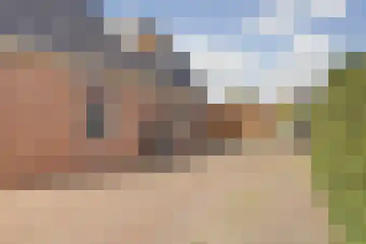 Westerblokker 15 Blokker thumbnail 5