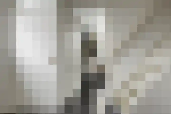 Westerblokker 15 Blokker thumbnail 8