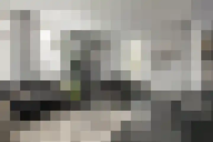 Westerblokker 15 Blokker thumbnail 9