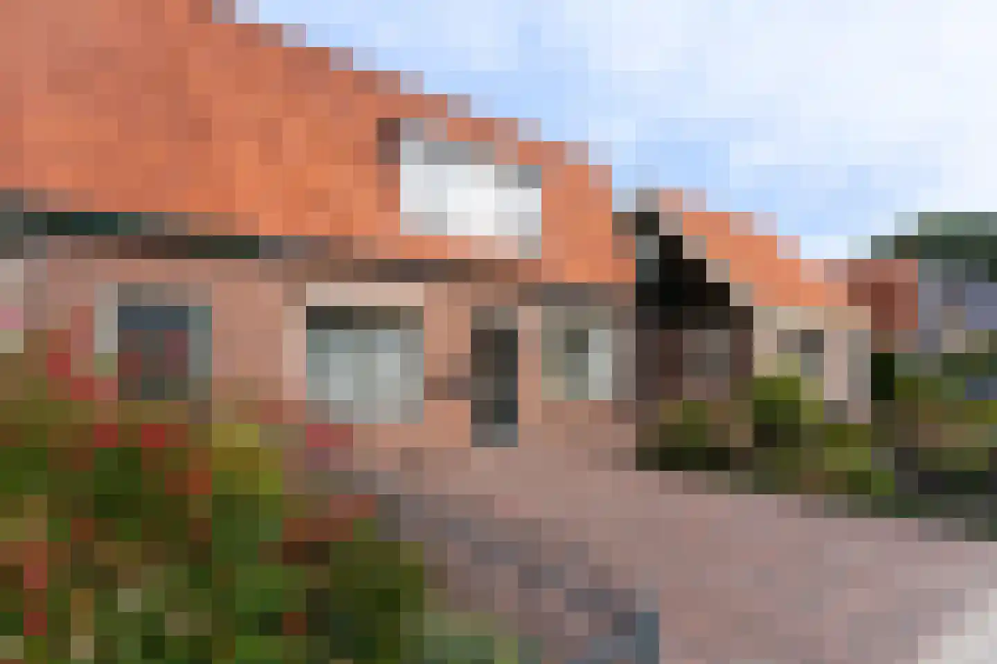 Westerblokker 51 in Blokker