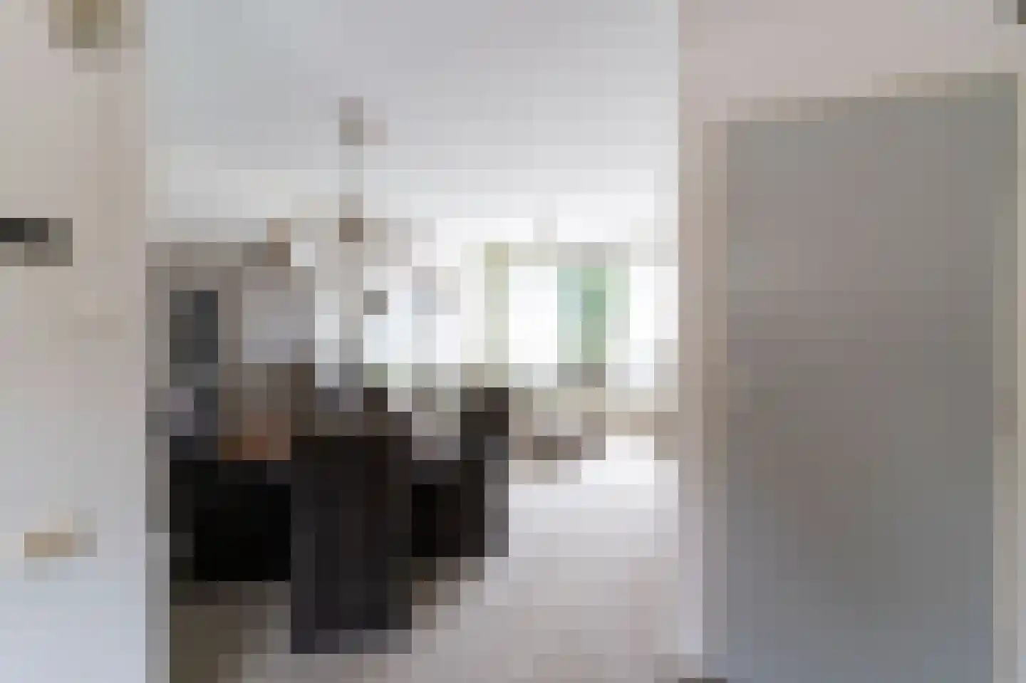 Westerblokker 51 Blokker thumbnail 10
