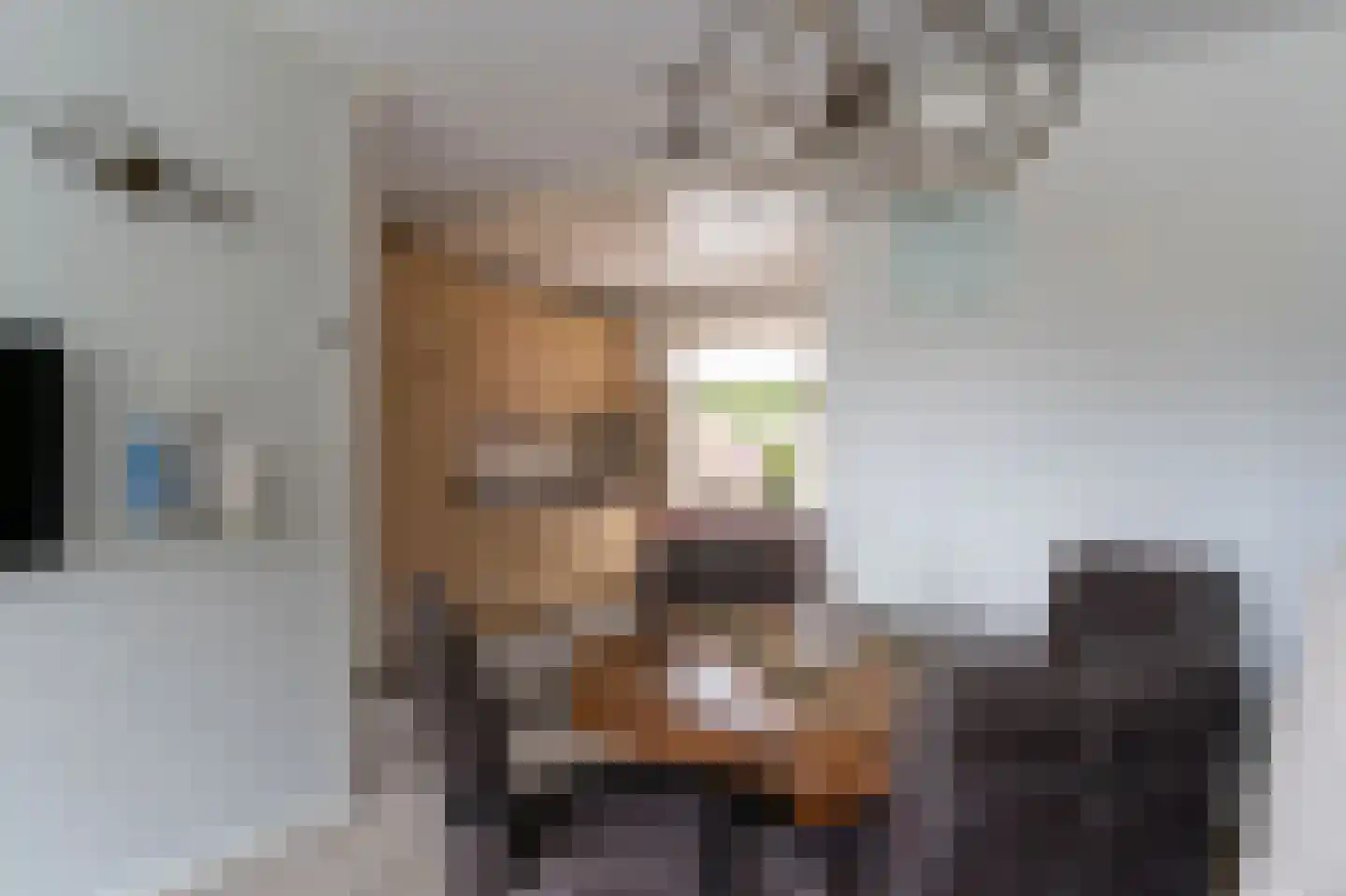 Westerblokker 51 Blokker thumbnail 13