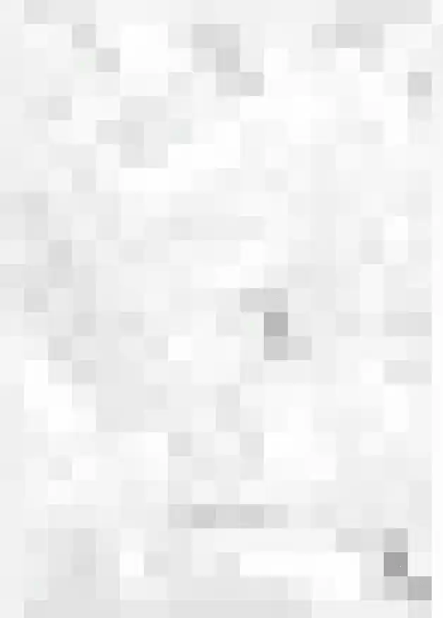 Westerblokker 51 Blokker thumbnail 30