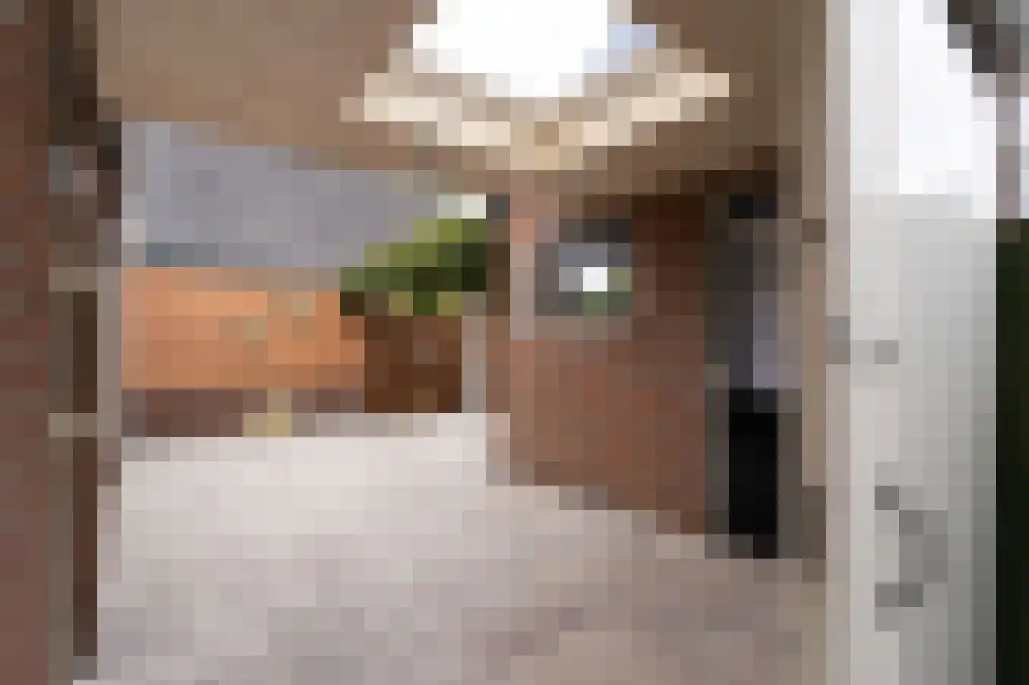 Westerblokker 51 Blokker thumbnail 33