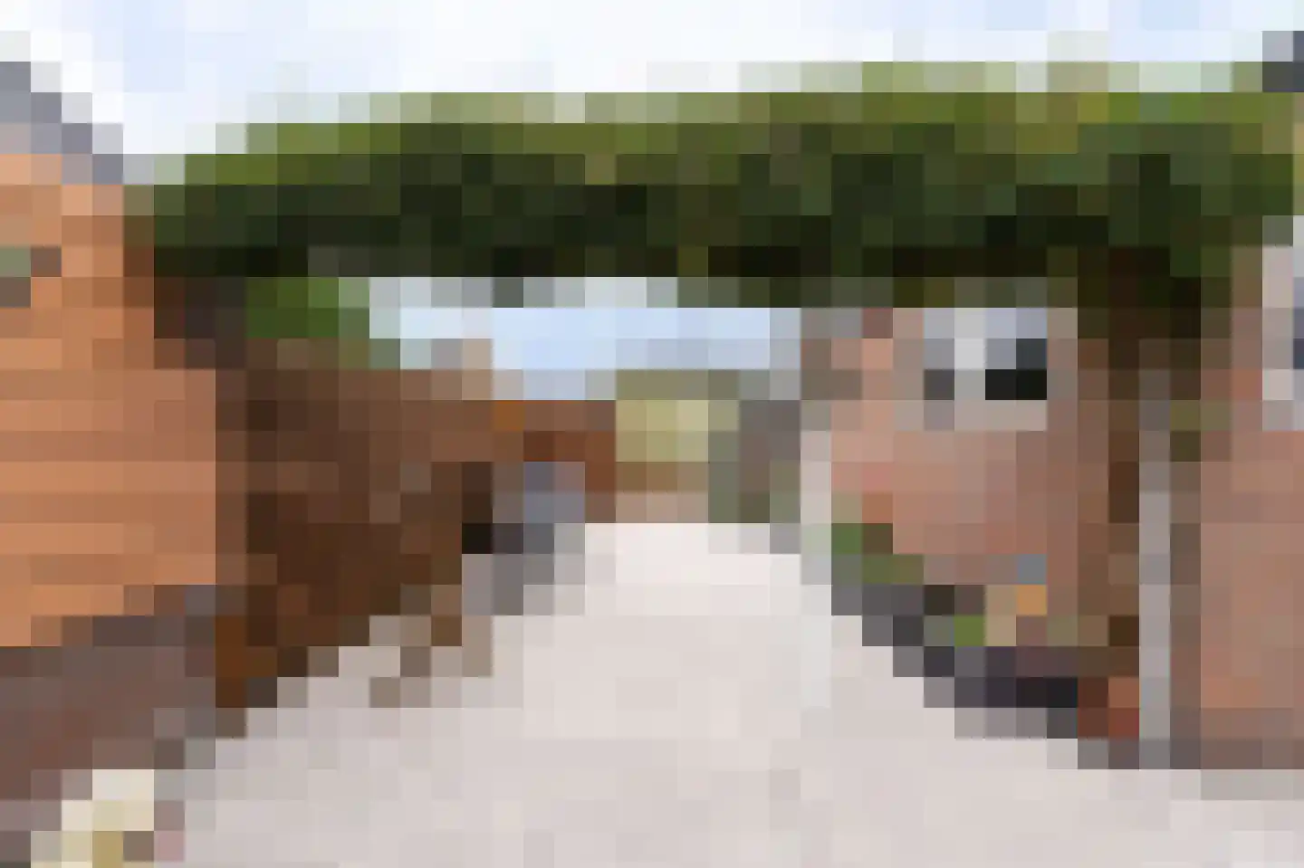 Westerblokker 51 Blokker thumbnail 39