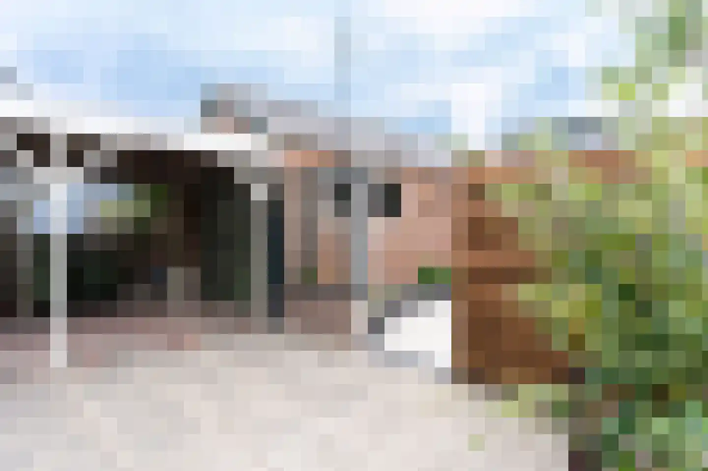 Westerblokker 51 Blokker thumbnail 41