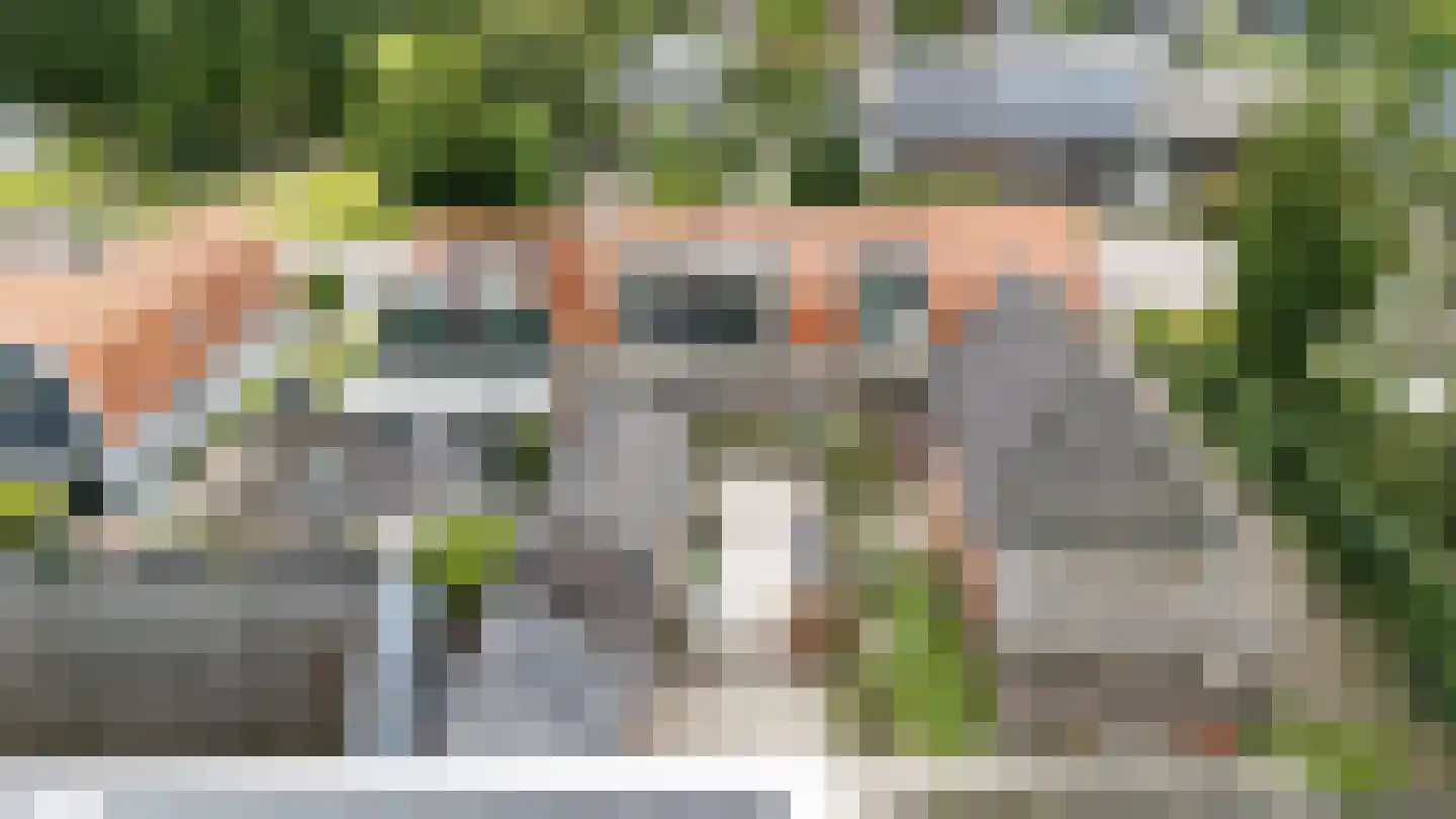 Westerblokker 51 Blokker thumbnail 49