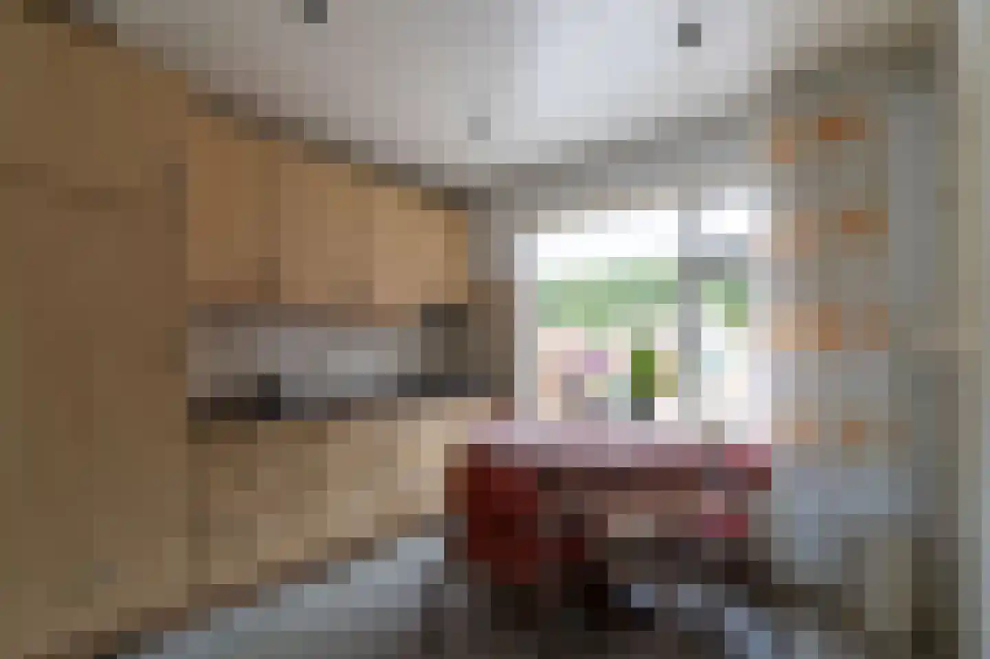 Westerblokker 51 Blokker thumbnail 5