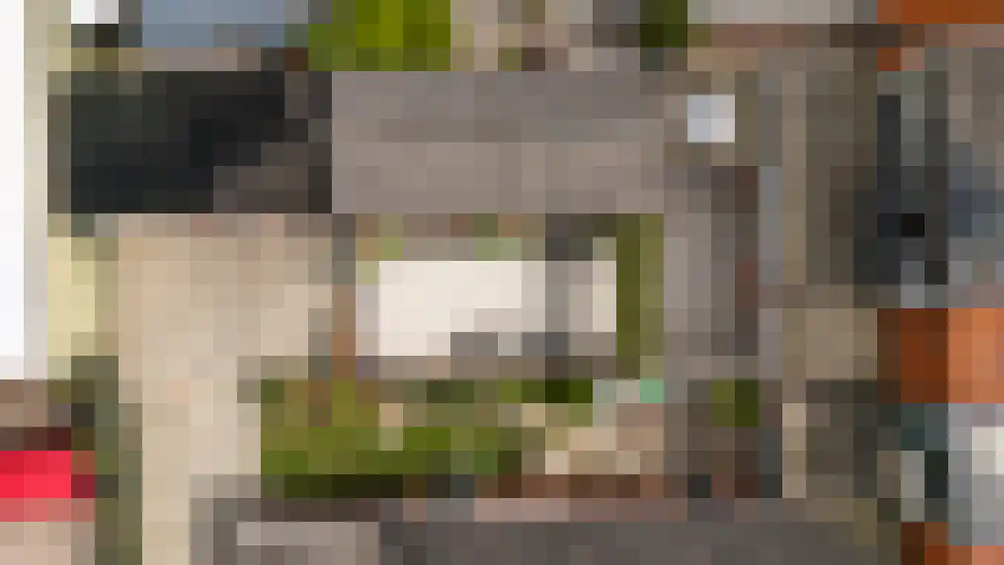 Westerblokker 51 Blokker thumbnail 50