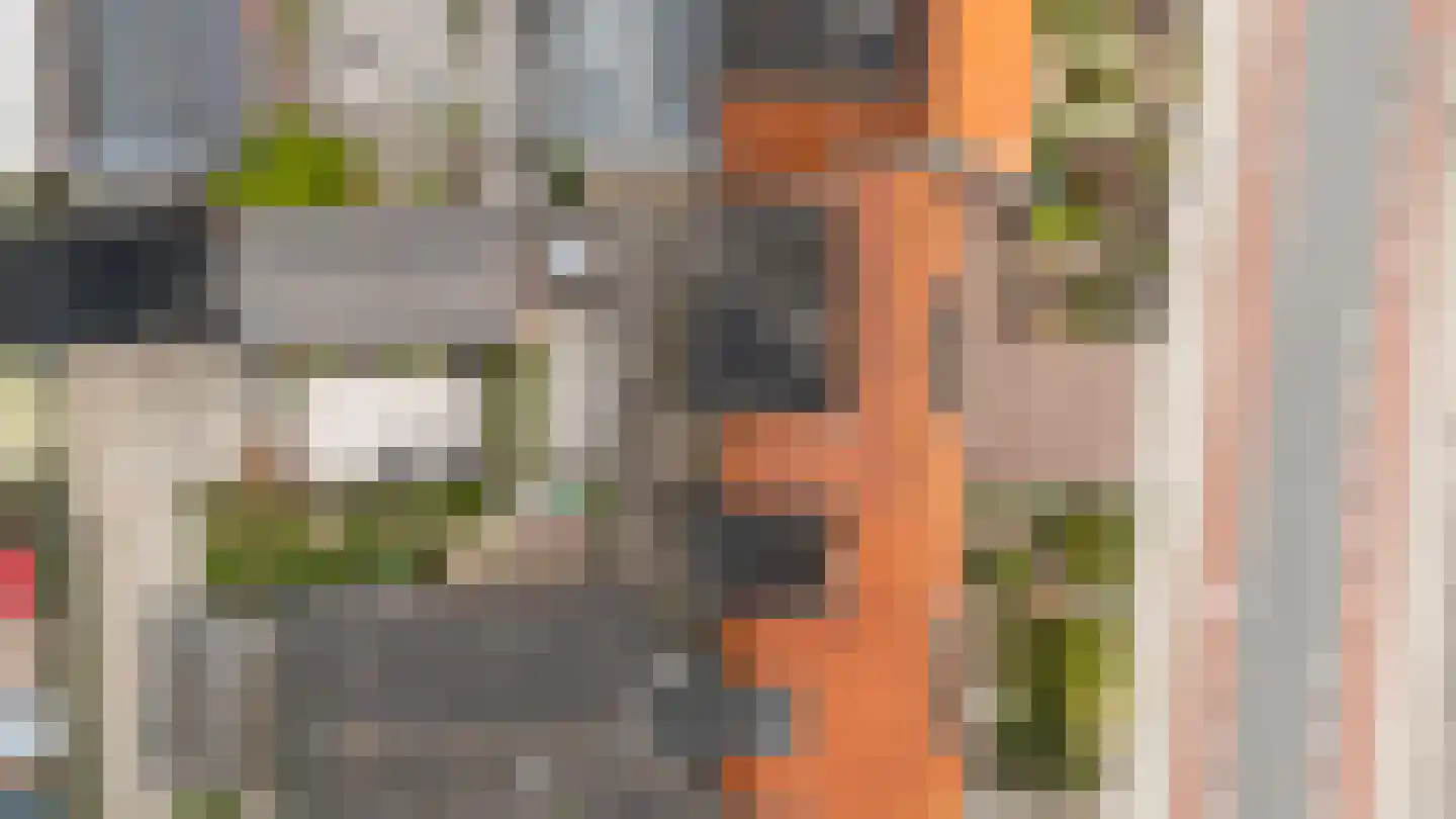 Westerblokker 51 Blokker thumbnail 51