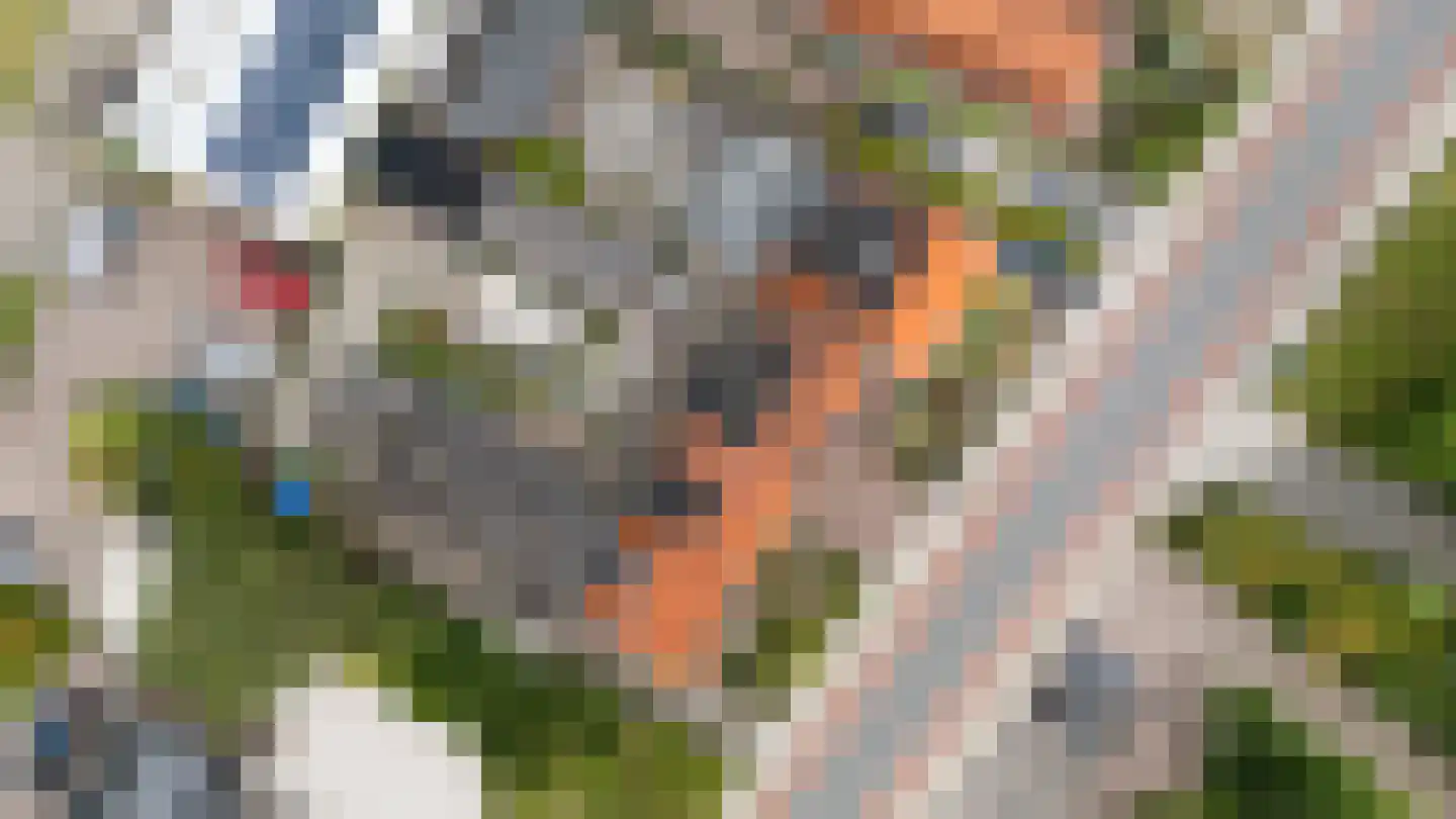 Westerblokker 51 Blokker thumbnail 52