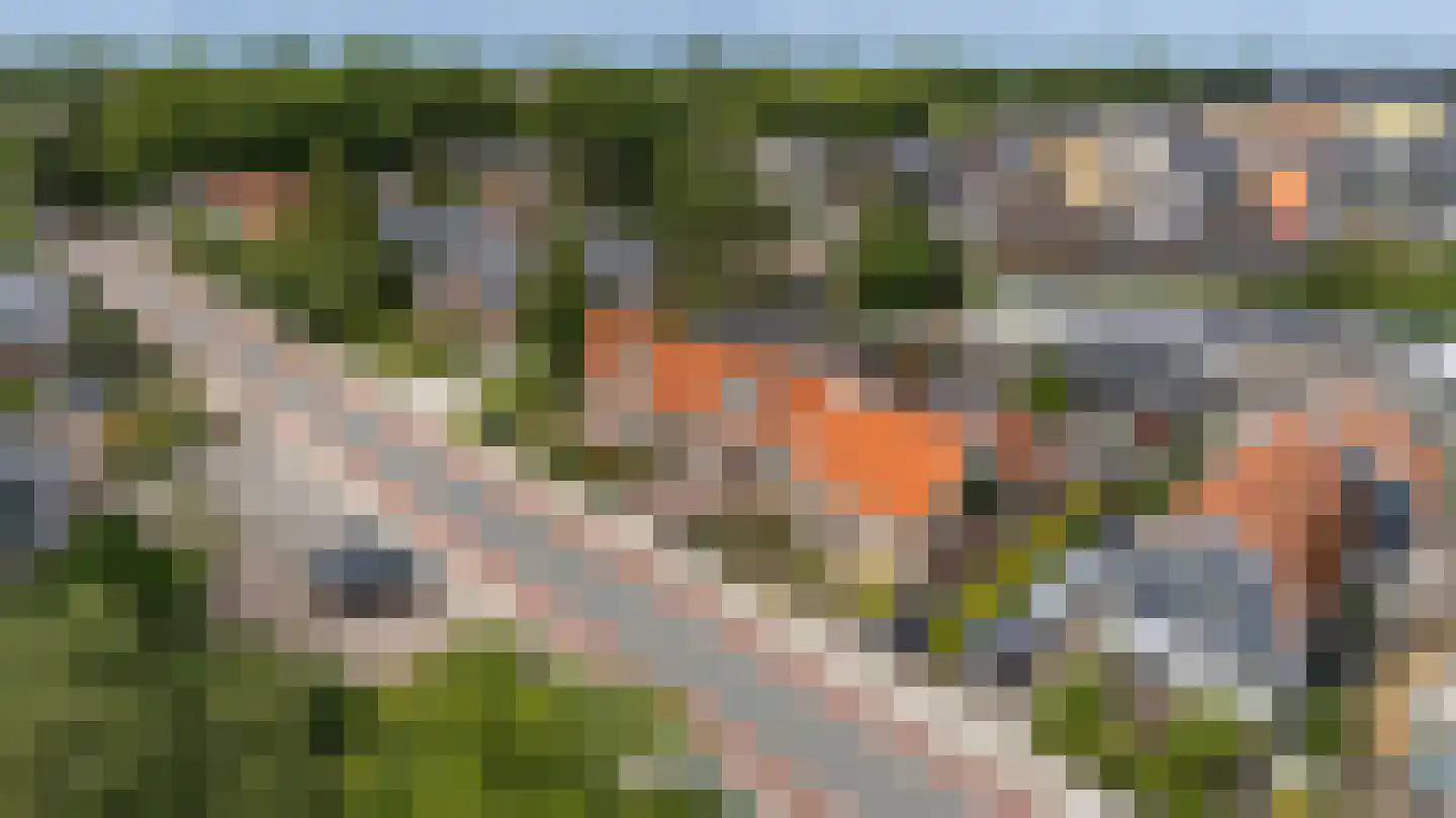 Westerblokker 51 Blokker thumbnail 56