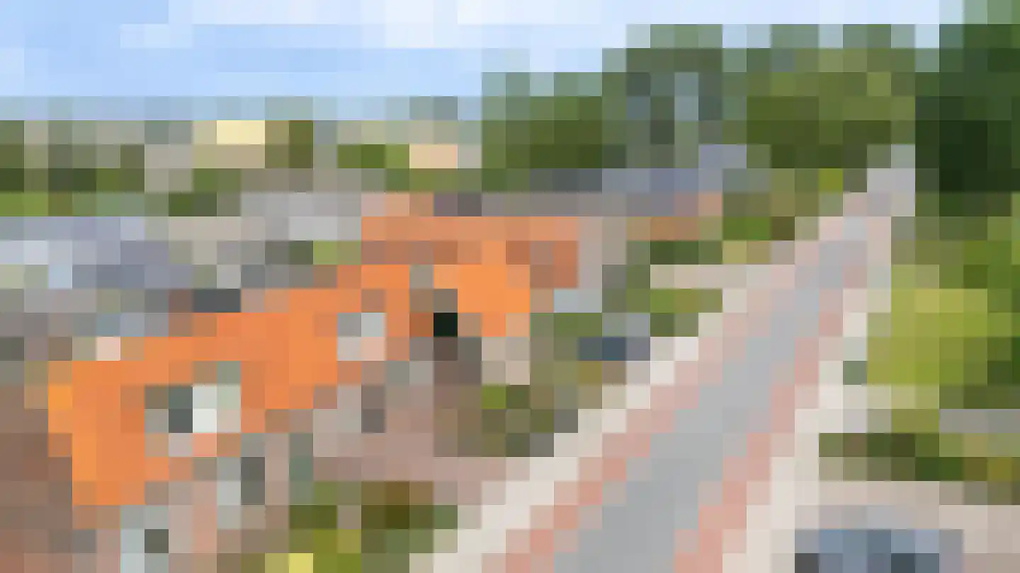 Westerblokker 51 Blokker thumbnail 58