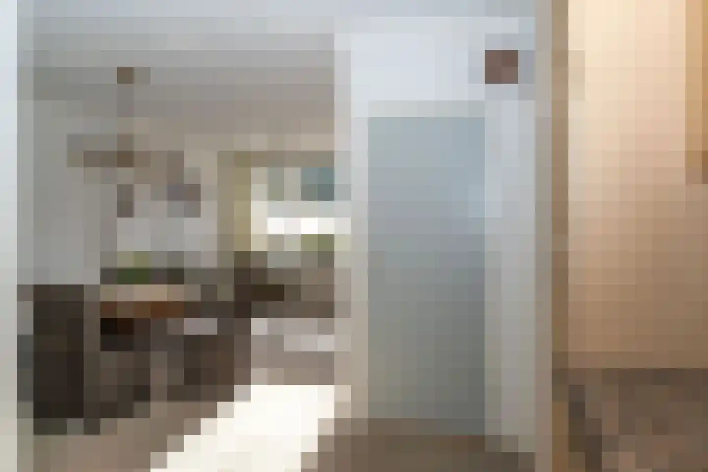 Westerblokker 51 Blokker thumbnail 9