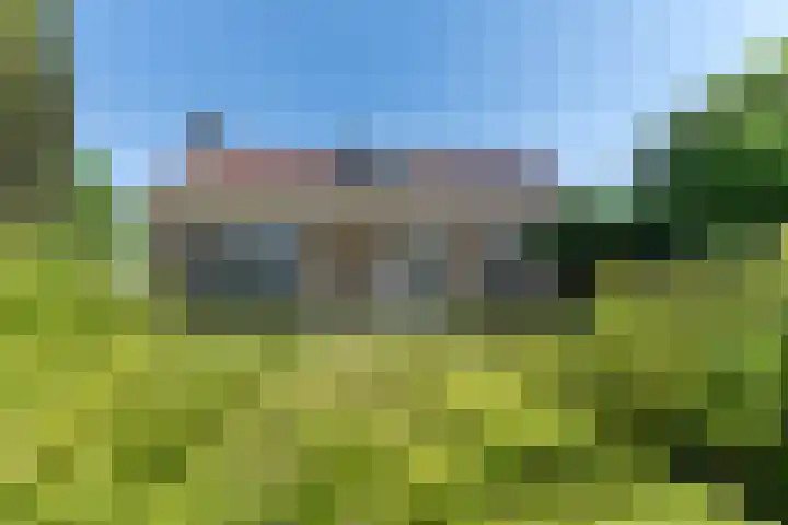 Westerblokker 58 A Blokker thumbnail 26