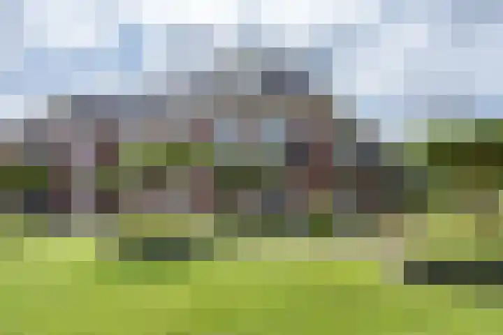 Westerblokker 58 A Blokker thumbnail 38