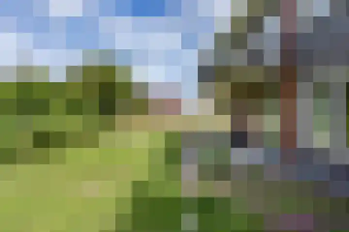 Westerblokker 58 A Blokker thumbnail 6