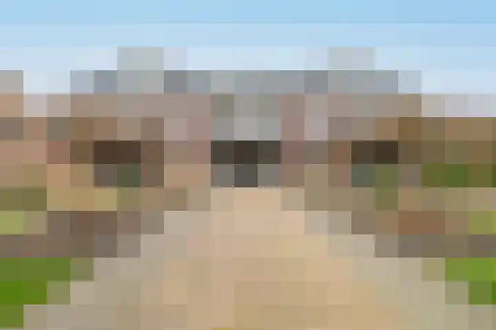 Westerblokker 60 F Blokker thumbnail 33