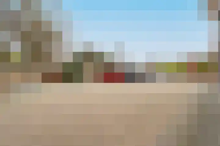 Westerblokker 60 F Blokker thumbnail 40