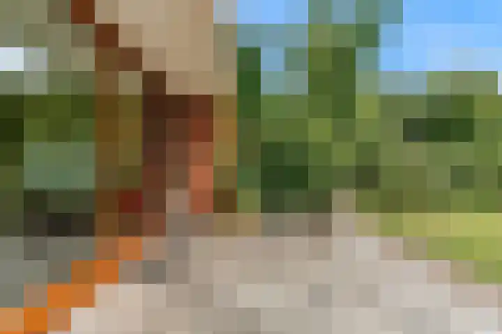 Westerblokker 92 A Blokker thumbnail 33