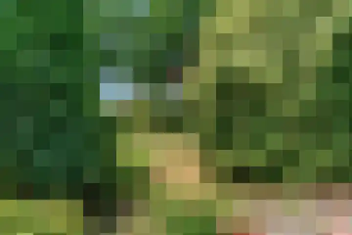 Westerblokker 92 A Blokker thumbnail 34