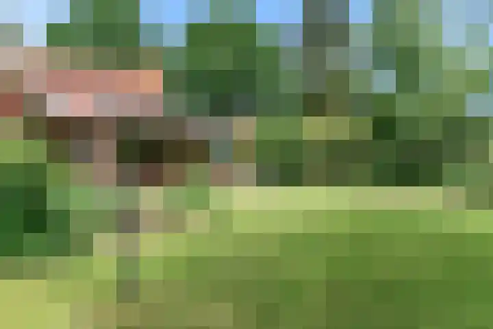 Westerblokker 92 A Blokker thumbnail 36