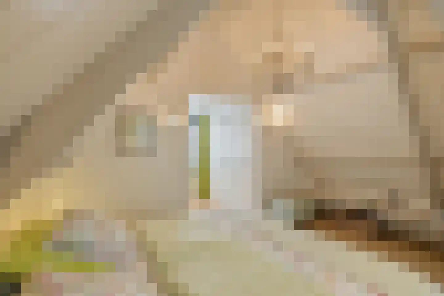 Westerbolwerk 1 Franeker thumbnail 26