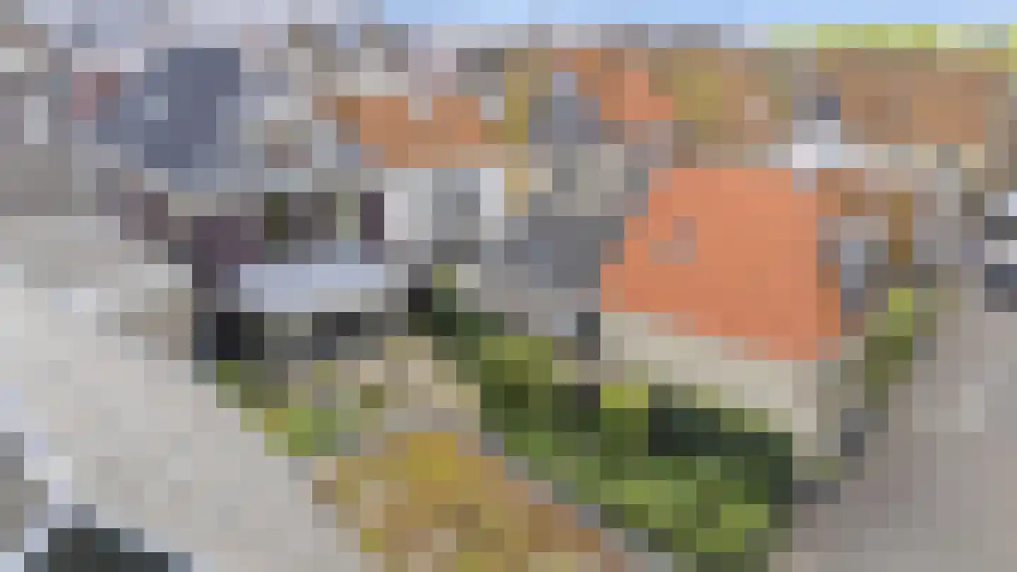 Westerbolwerk 1 Franeker thumbnail 6
