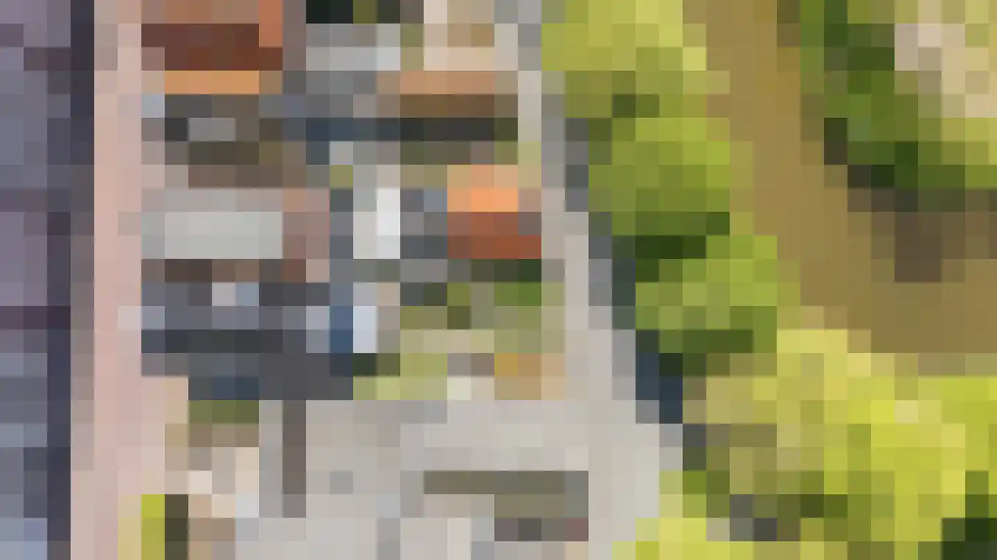 Westerbolwerk 1 Franeker thumbnail 7